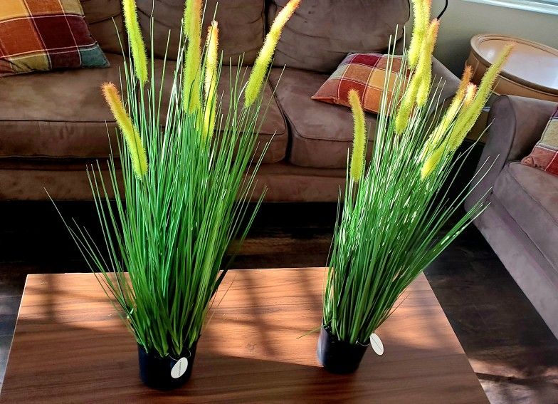Design Tropical Artificial Plants, Set Of 2