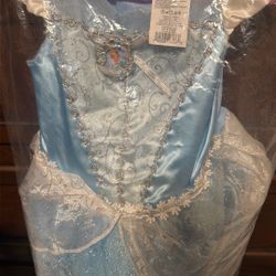 Cinderella Costume 6-12m
