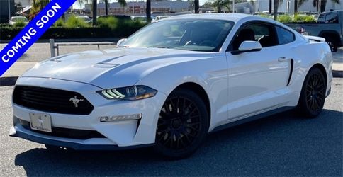 2019 Ford Mustang