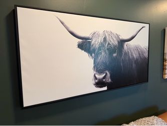 Bull canvas wall art black and white - framed.