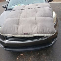 Costco dog bed