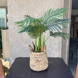 Faux Palm Plant In Wicker Basket Planter