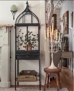 Awesome tall terrarium