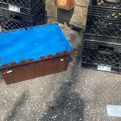 Milk Crates 