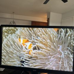 Acer GN246HL 24 IN 144 Hz 1080p Monitor