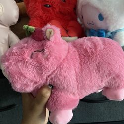 Cherry And Pumpkin Capybara Plush Set