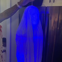 Halloween Decoration.