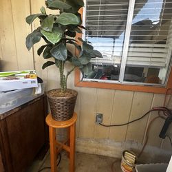 Artificial and stand