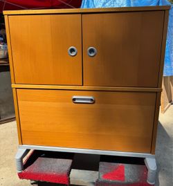 FILE CABINET-COULD USE AS A MEDIA CABINET OR STORAGE CABINET