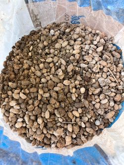 Alpaca manure