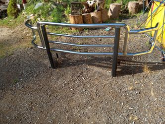 Brush Guard Ford Chrome 15 -2020