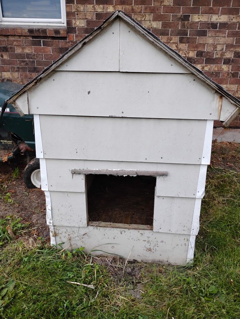 Large Lumber And Siding Dog House
