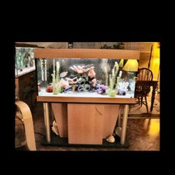 Exclusive 130-Gallon Aquarium Ensemble - $725 OBO (Smyrna, TN)