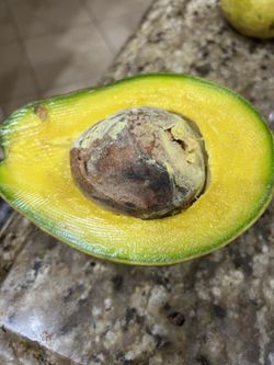 Aguacates Maduros