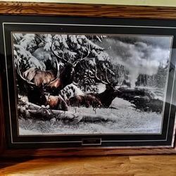 Forest Wall pictures Decor 