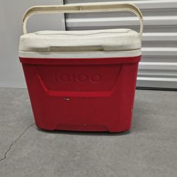 Igloo Cooler Fills 41 Cans