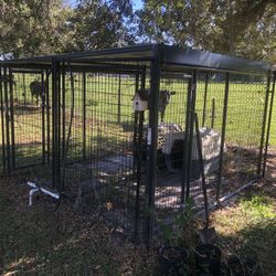 Dog Pens