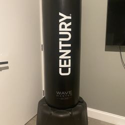 Punching bag new