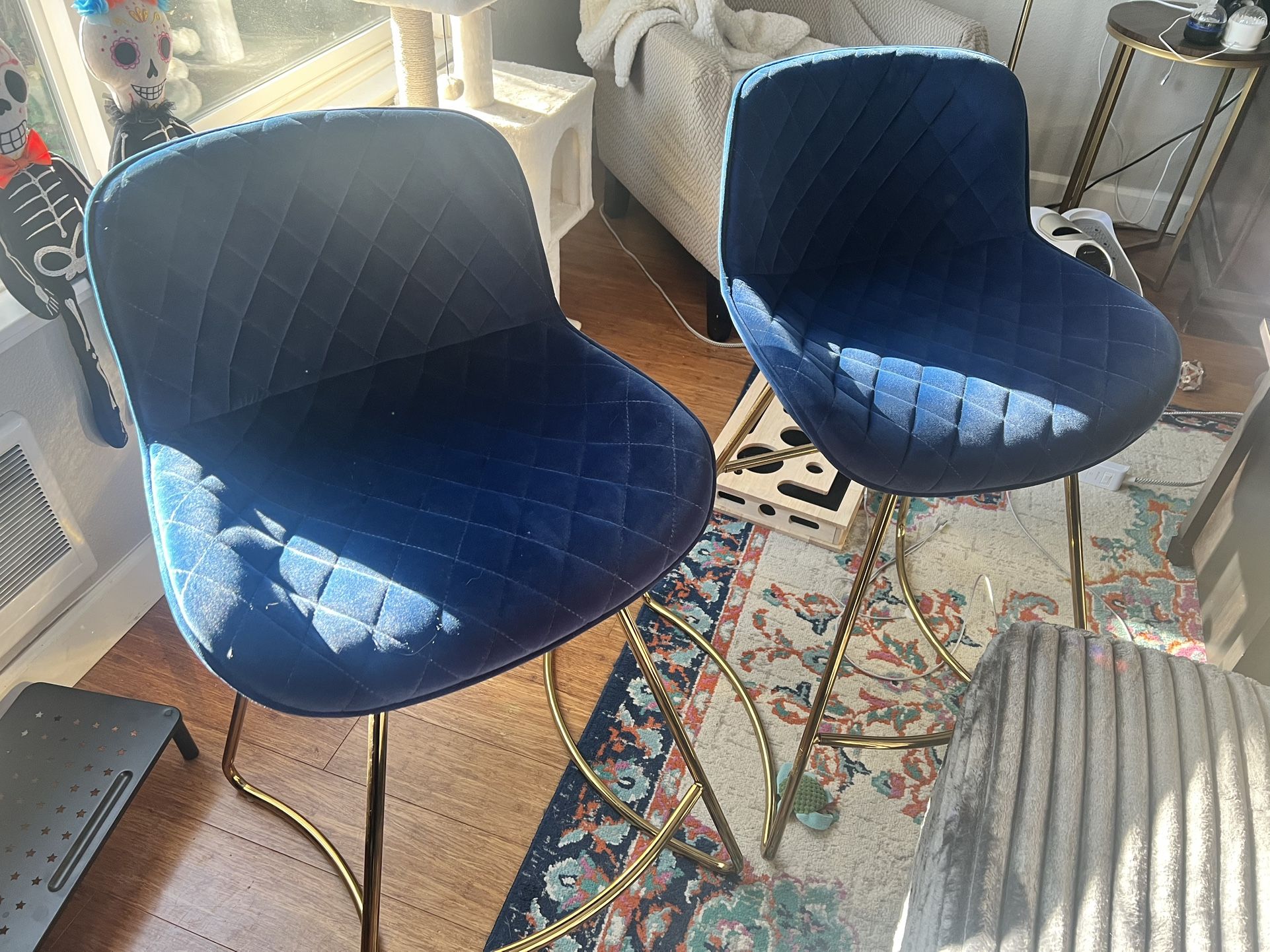 Gorgeous Blue Velvet Barstools - Cash Only