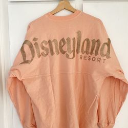 Disney Spirit Tee
