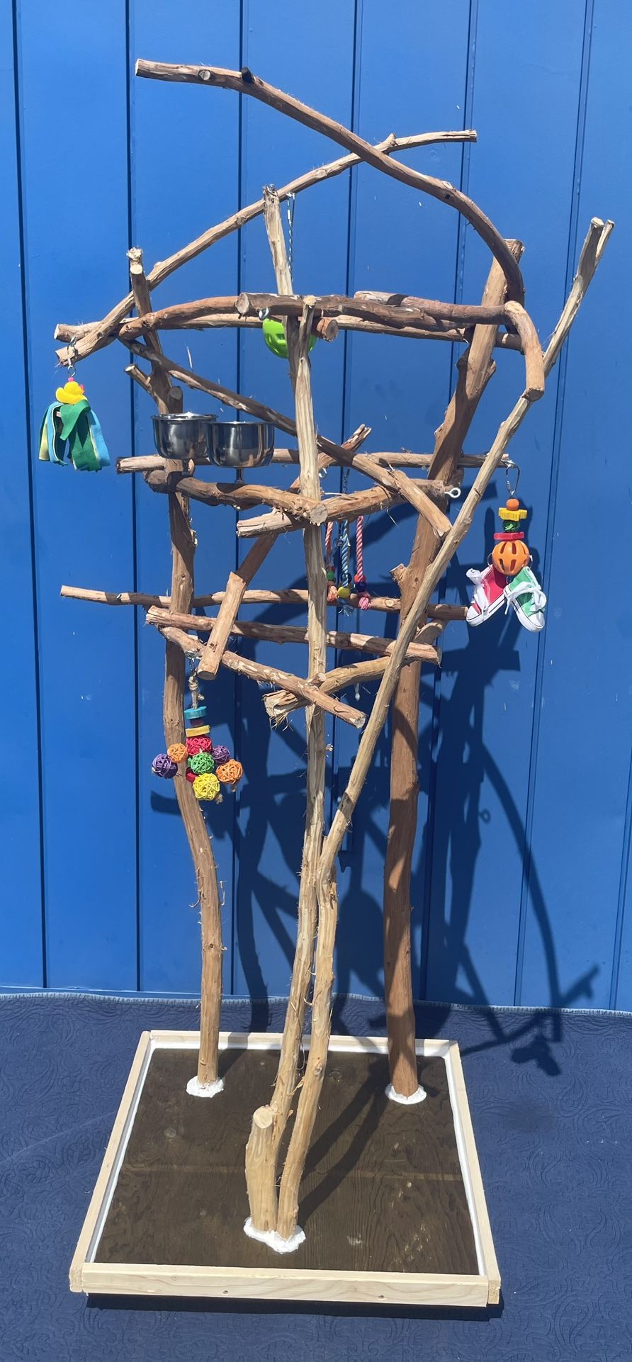 Curvy n Artsy All Natural Parrot Perch Tree - African Grey - Amazon Size Shown ! 👍🏼