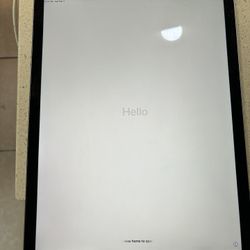 Apple iPad, Larger Size 