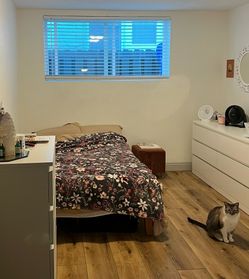 Full Size Memory Foam Mattress + Bed Frame