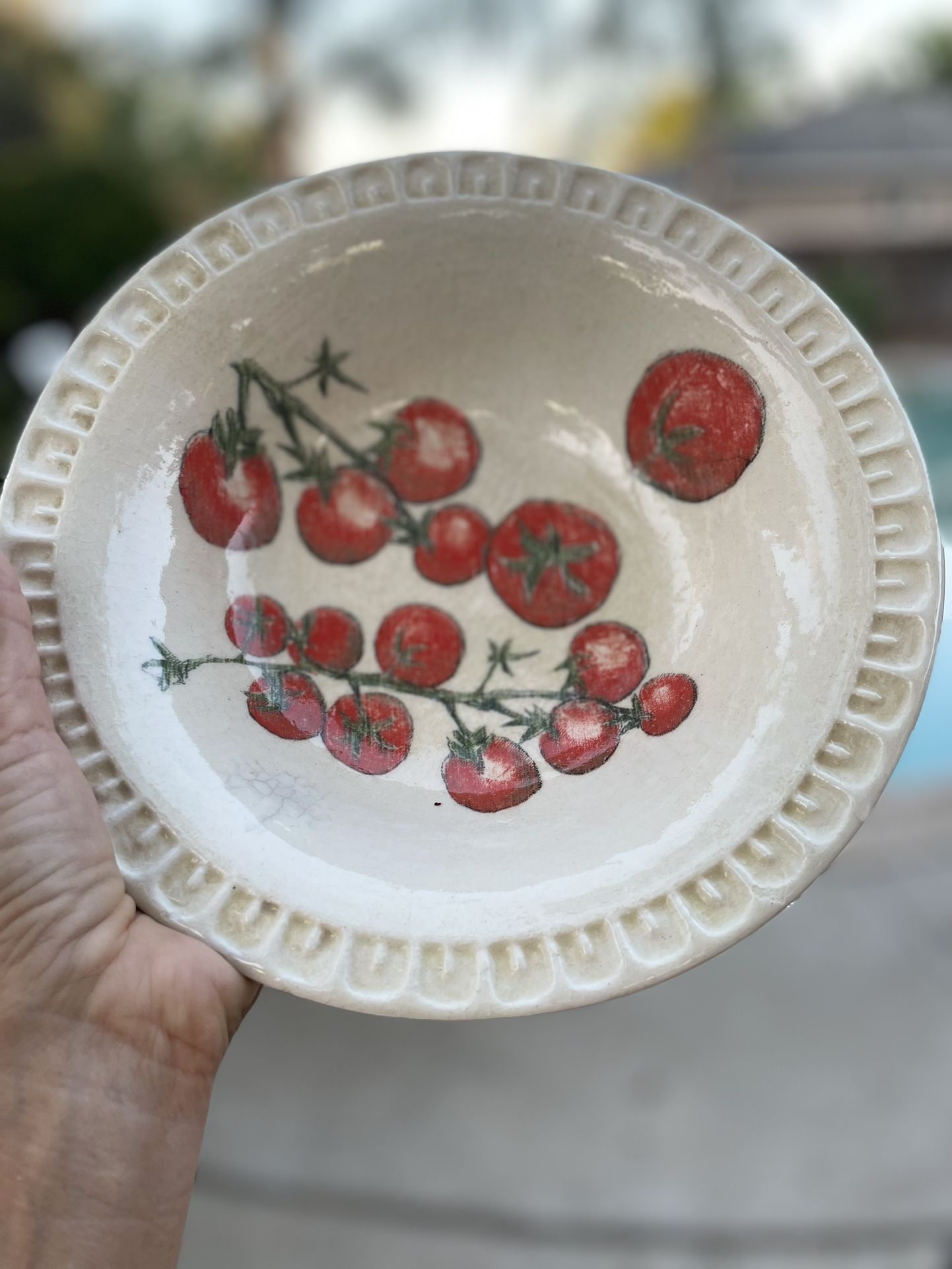 Williams Sonoma Bowl 9.5” bowls
