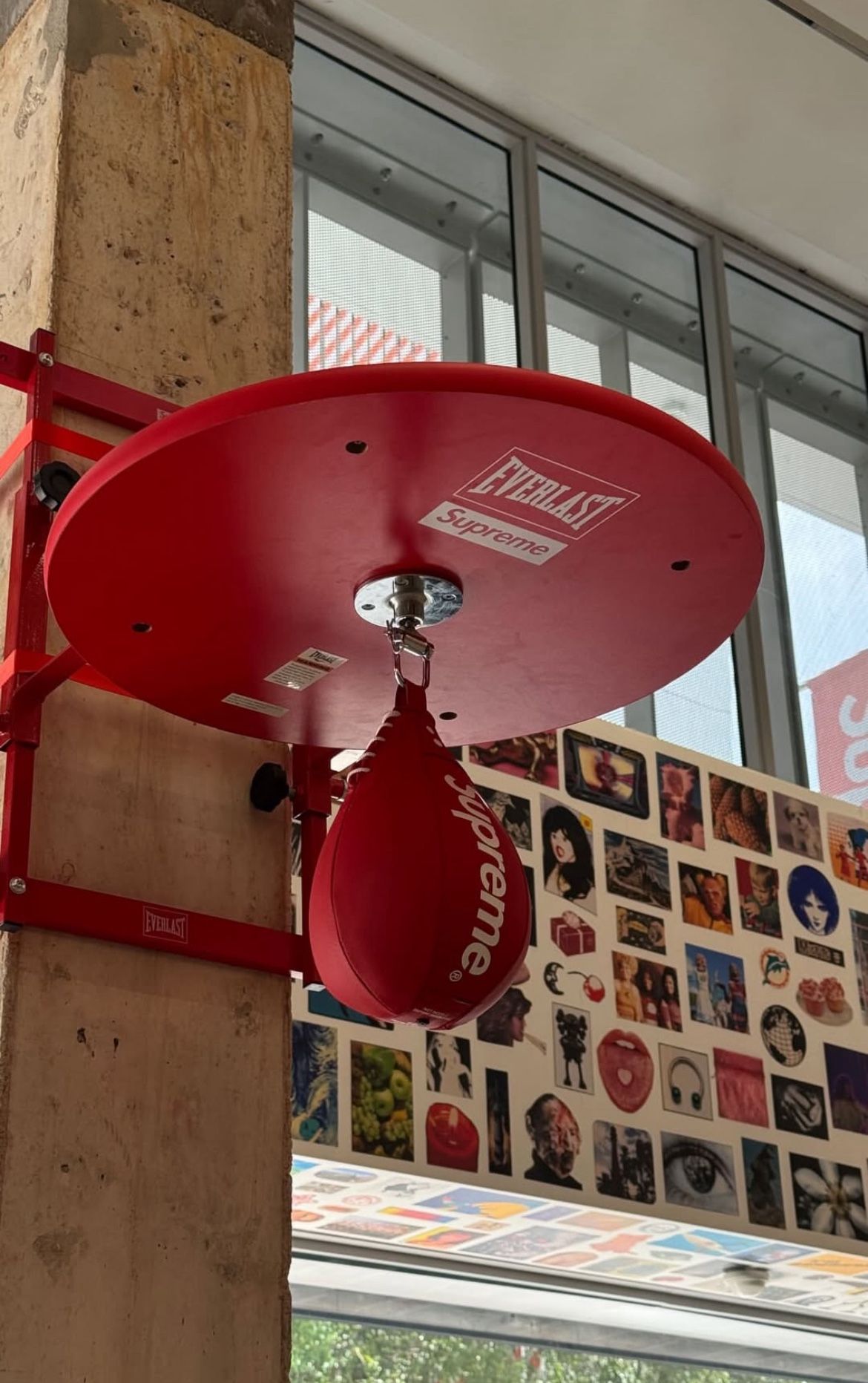 Supreme Everlast punching bag