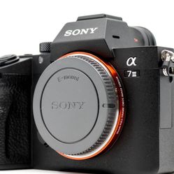 Sony A7iii 