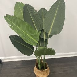 Teopical Palm 4ft Fake