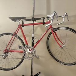 Quintana Roo Special Edition USA