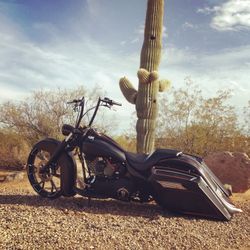 2010 bagger