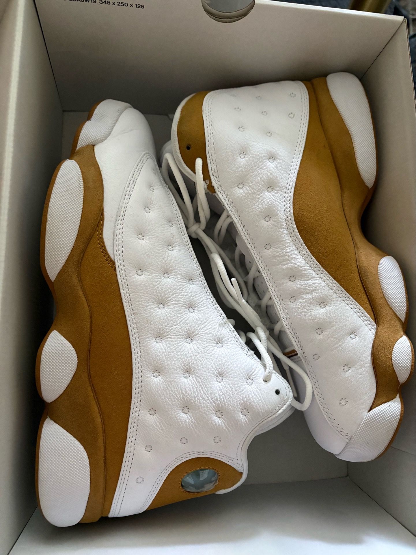 Jordan 13s