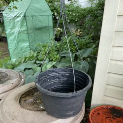 Hanging baskets and pots