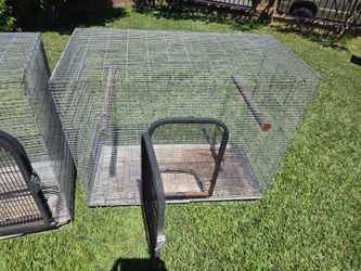 Large metal wire cage