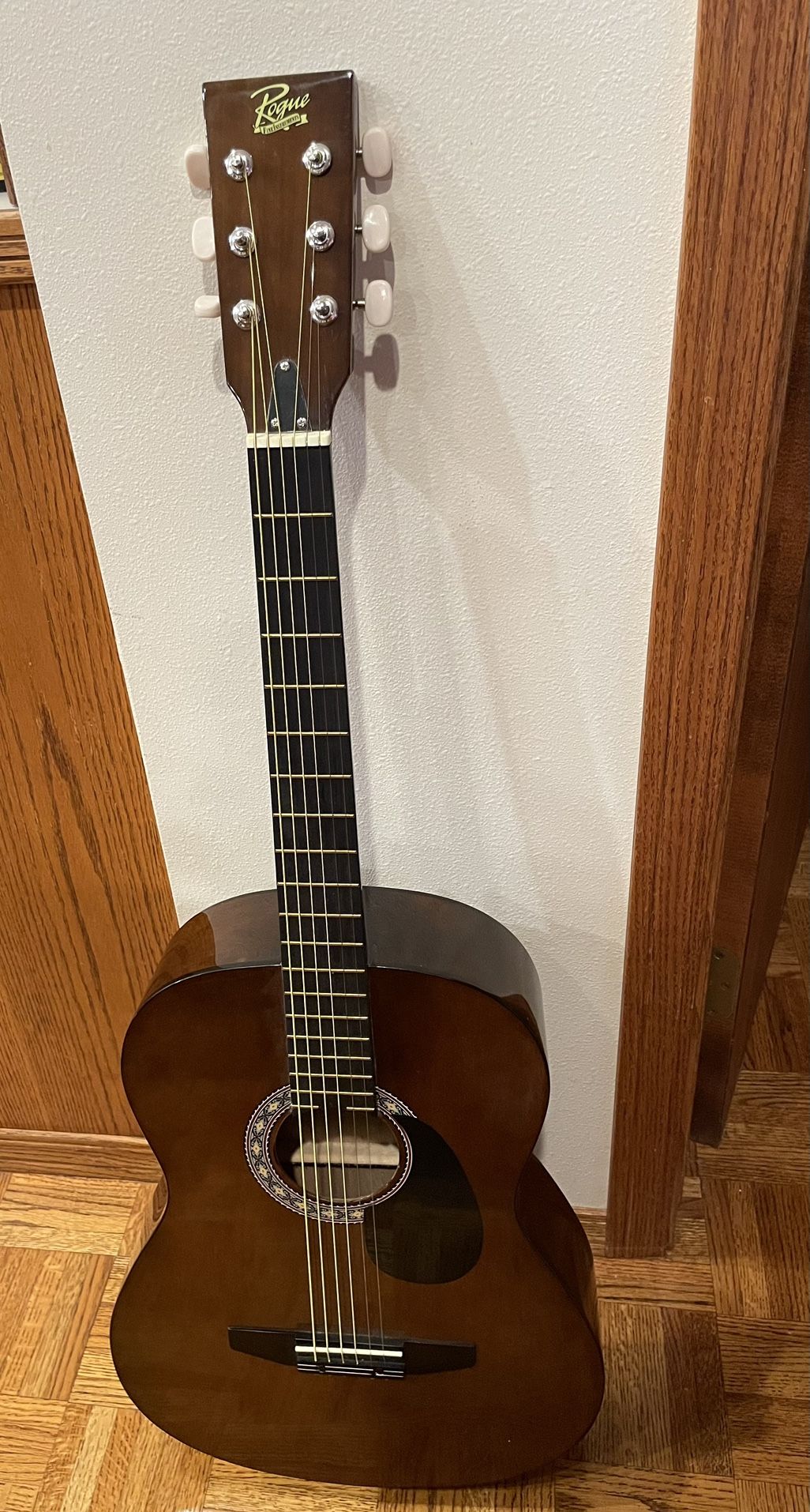 Rogue Starter Acoustic Guitar