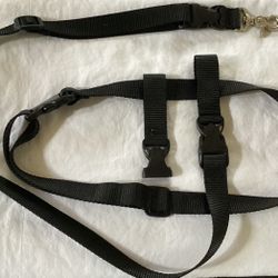 The Buddy System Hands Free Dog Leash