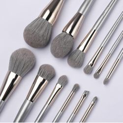 EVRCHGIEA Makeup Brushes Set, Professional Premium Synthetic Powder Foundation Blending Eye Shadow Blush Concealers Face Makeup Brush Kit (Silver 12pc