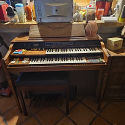 Organ 