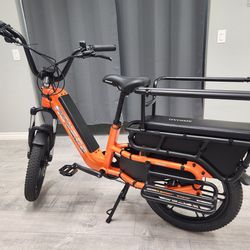 Hovsco HovCart | 750W E-Bike | Test Ride Today