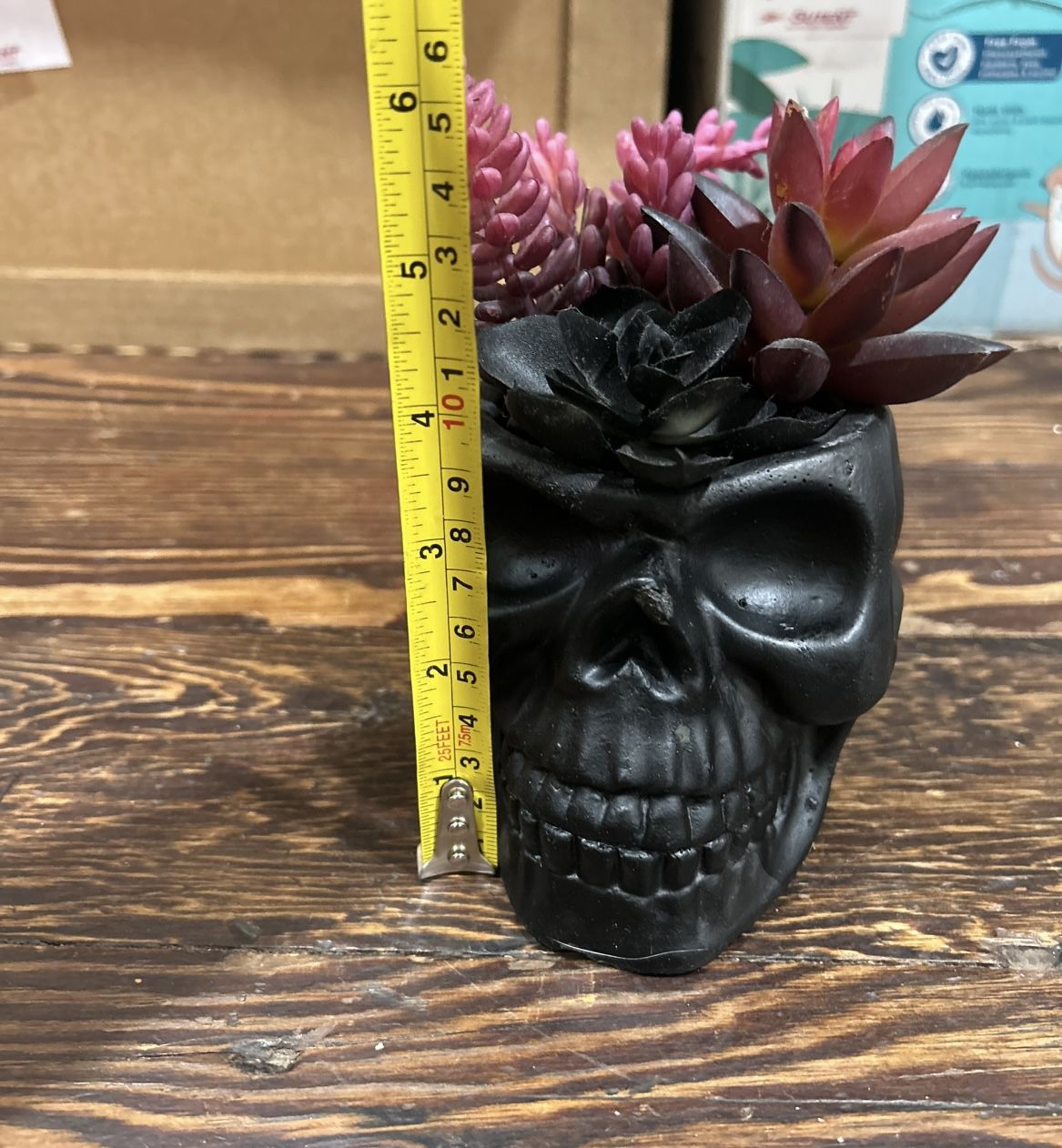 succulent faux plant on school planter