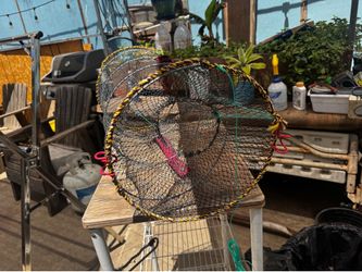 Fish trap