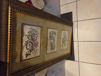 Frame