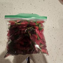 Chile de Arbol