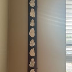 Oyster Shell Art 