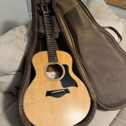 Taylor GS Mini