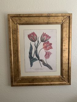 Beautiful decorative framed picture 27 inches tall by 23 inches wide