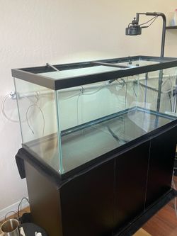 Aquarium 75 Gallon