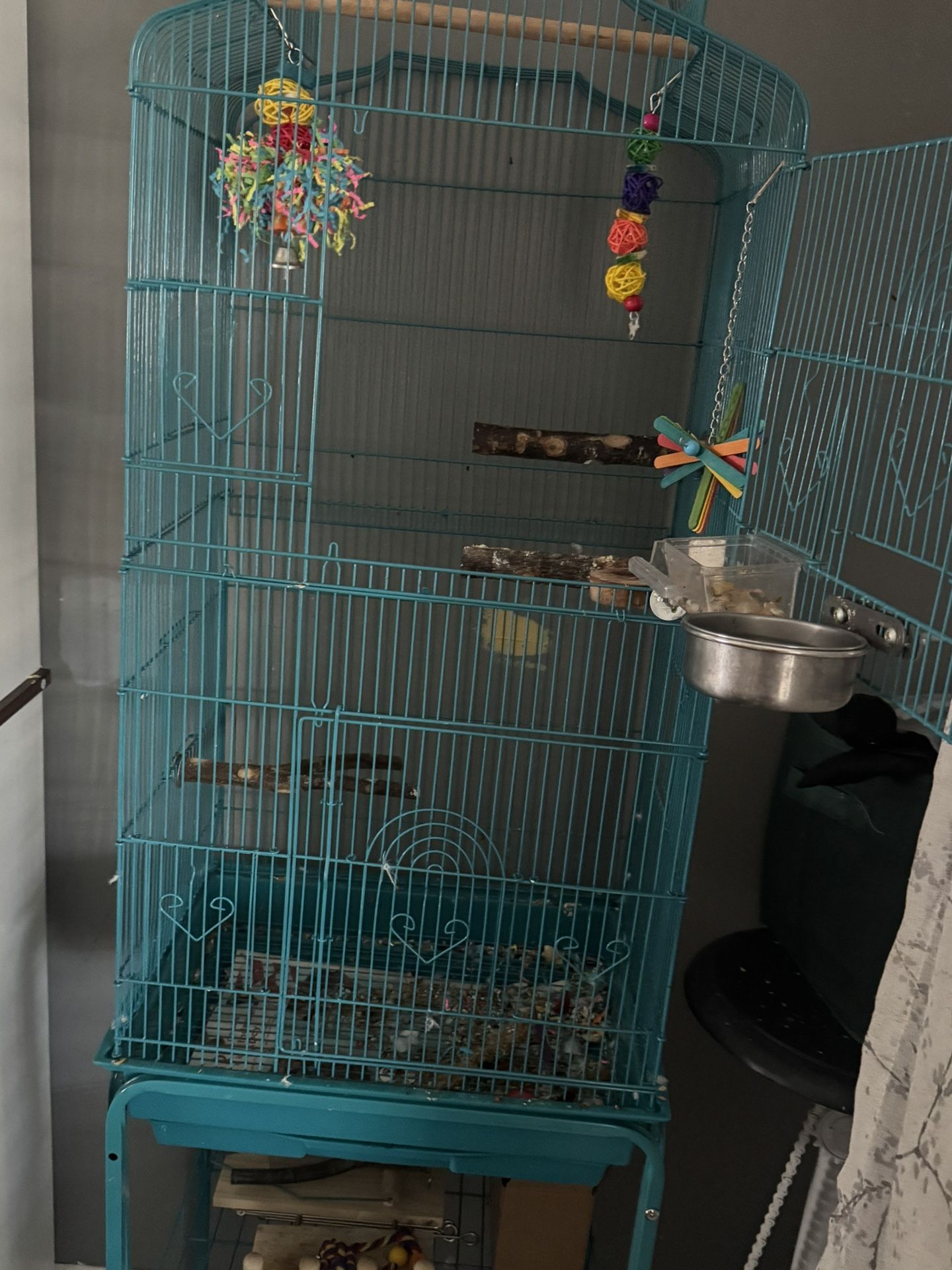 Bird Cage